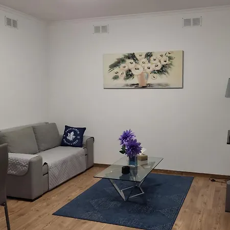 The Blue Hydrangea Apartment Vila Franca do Campo