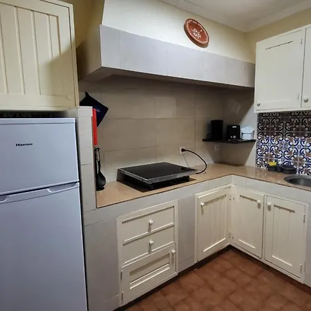 The Blue Hydrangea *