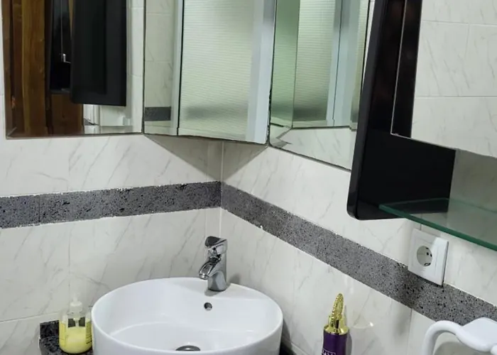 The Blue Hydrangea 公寓