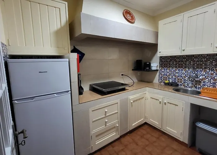 The Blue Hydrangea *