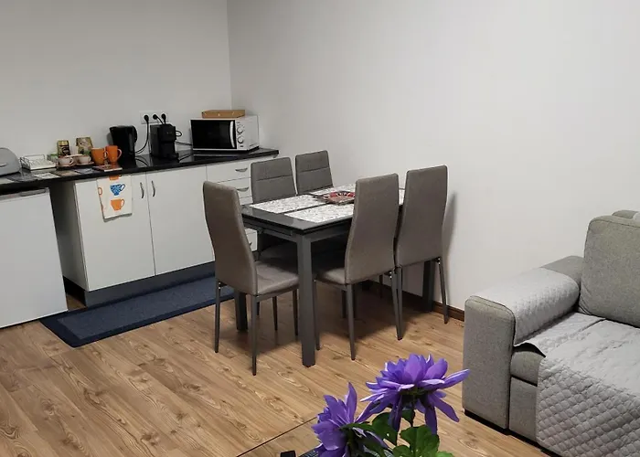 The Blue Hydrangea 公寓 维拉弗兰卡杜坎普