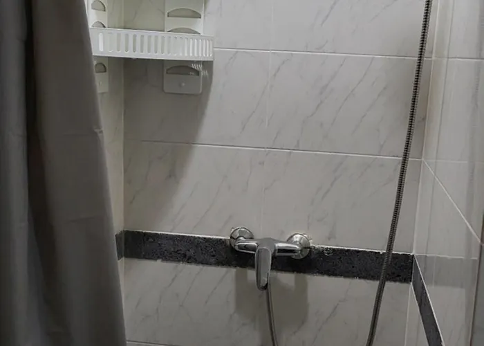 Daire The Blue Hydrangea *